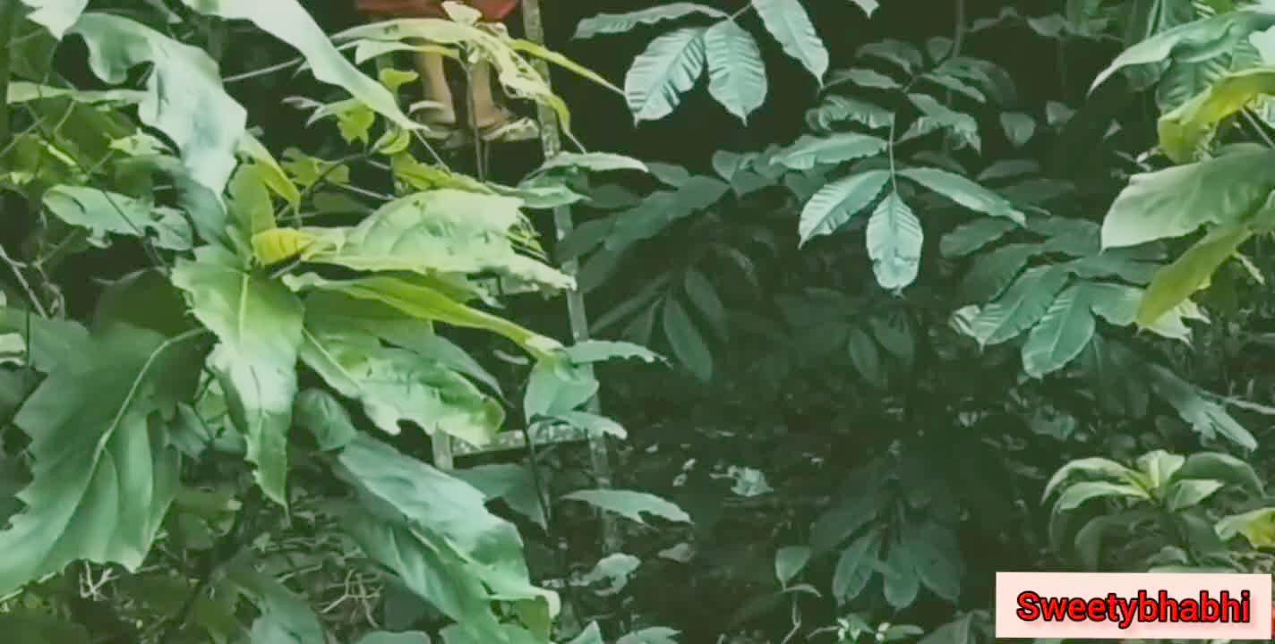 Indian Tamil Village Farmer S Aunty And Hubby Sex Video Anybunny