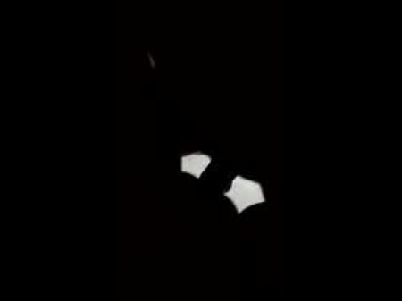 Cipap Tembam Bini Orang Melayu Free Sex Videos Watch Beautiful And