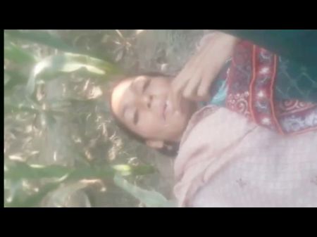 Hd Tehati Khet Sexi Video - Dehati Grills Khet Main Sex Video Free Sex Videos - Watch Beautiful and  Exciting Dehati Grills Khet Main Sex Video Porn at anybunny.com