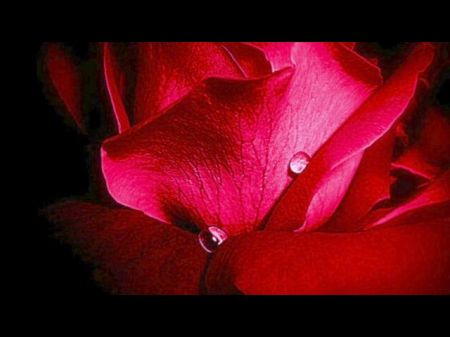 I Want You . Immersive Erotic Audio By Eve